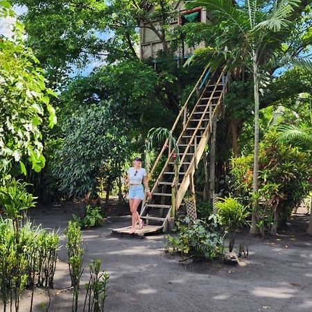 Tanna Volcano View Tree House Lenkuru Экстерьер фото