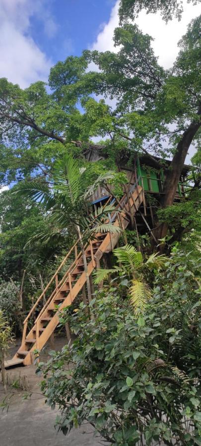 Tanna Volcano View Tree House Lenkuru Экстерьер фото
