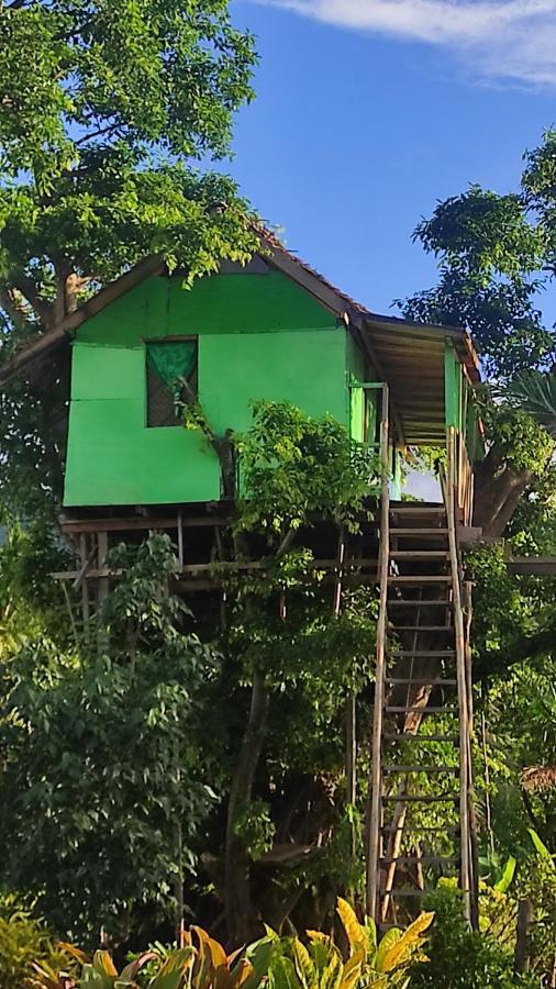 Tanna Volcano View Tree House Lenkuru Экстерьер фото