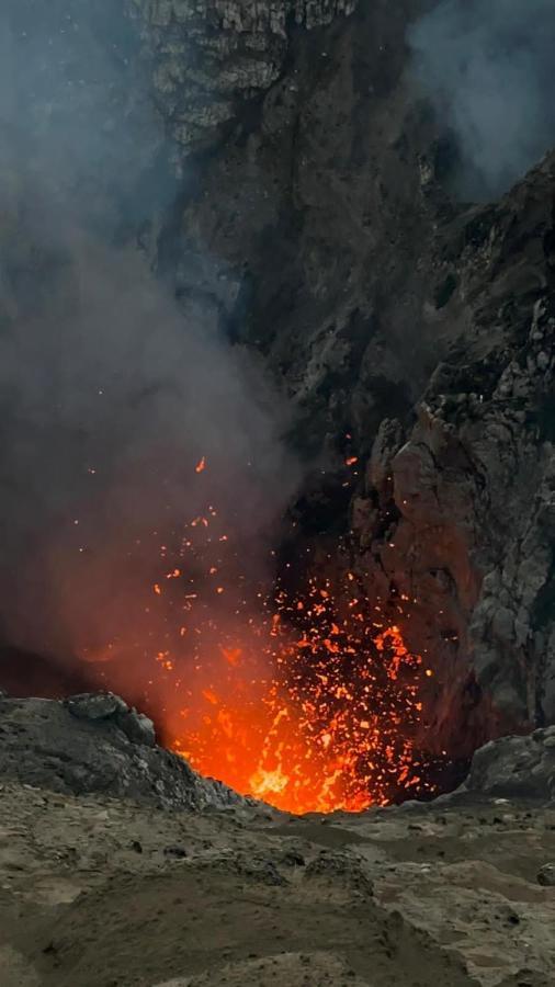 Tanna Volcano View Tree House Lenkuru Экстерьер фото