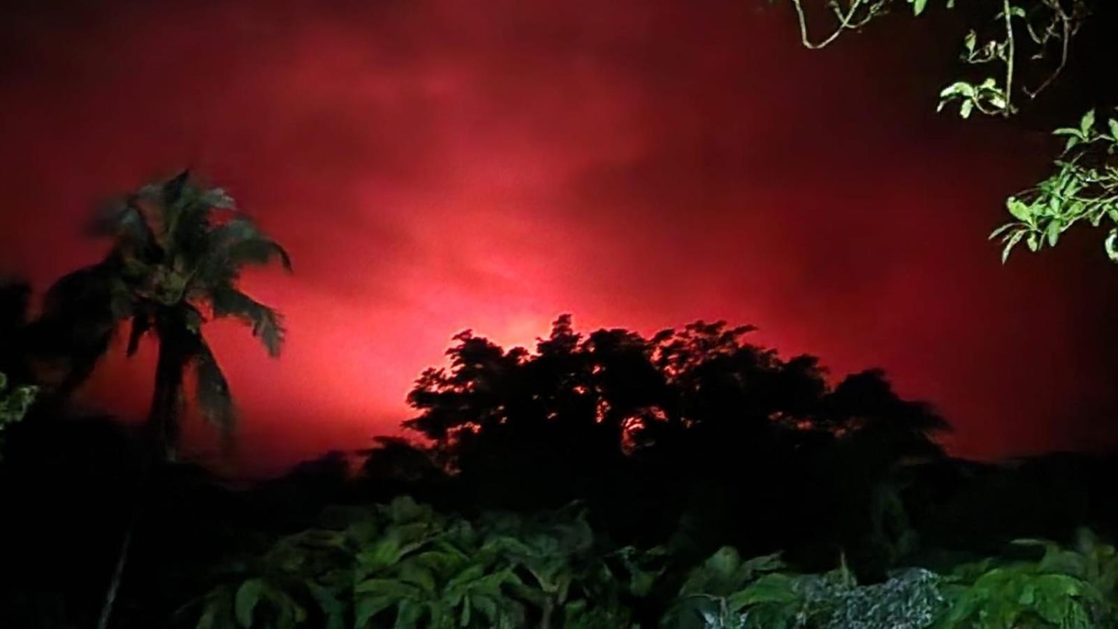 Tanna Volcano View Tree House Lenkuru Экстерьер фото